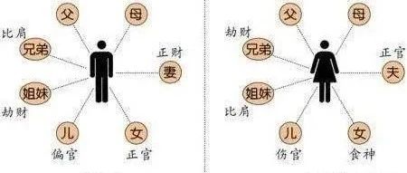 八字十神系列之——正偏印