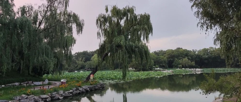 中国哪里最美丽