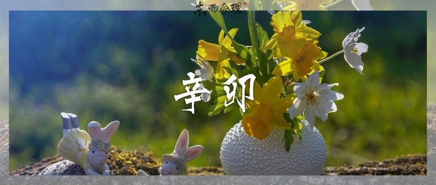 六十甲子| 辛卯：需要回应与交换的人生信条。