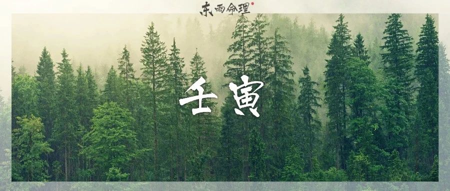 六十甲子| 壬寅：它有涅槃重生的力量。