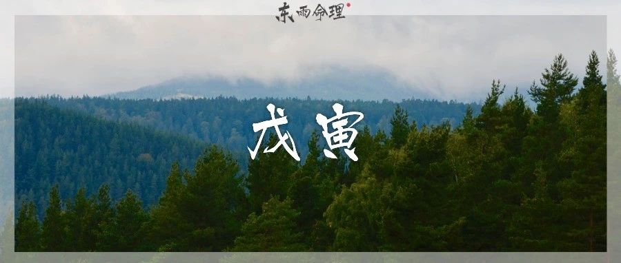 六十甲子| 戊寅：蛮横又专制，生猛又刚硬。