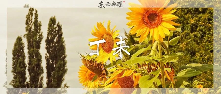 六十甲子| 丁未：「领导力」的特质让它成功。