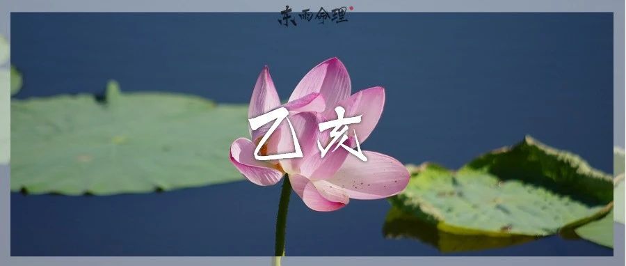 六十甲子| 乙亥：漂浮是天命，不惧是本能。