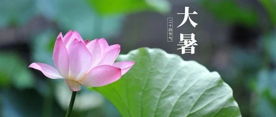 大暑，2024年第十二个节气暨夏季第六个节令事宜