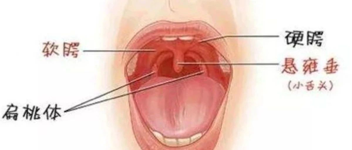 日常保健“舌抵上腭”的效果