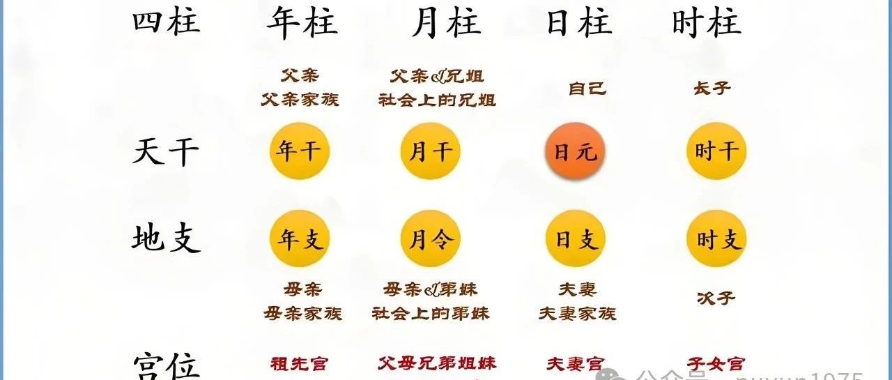 四柱四柱八字命理学基础：宫位与人生解读