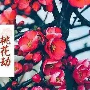 如何判断八字带哪种桃花