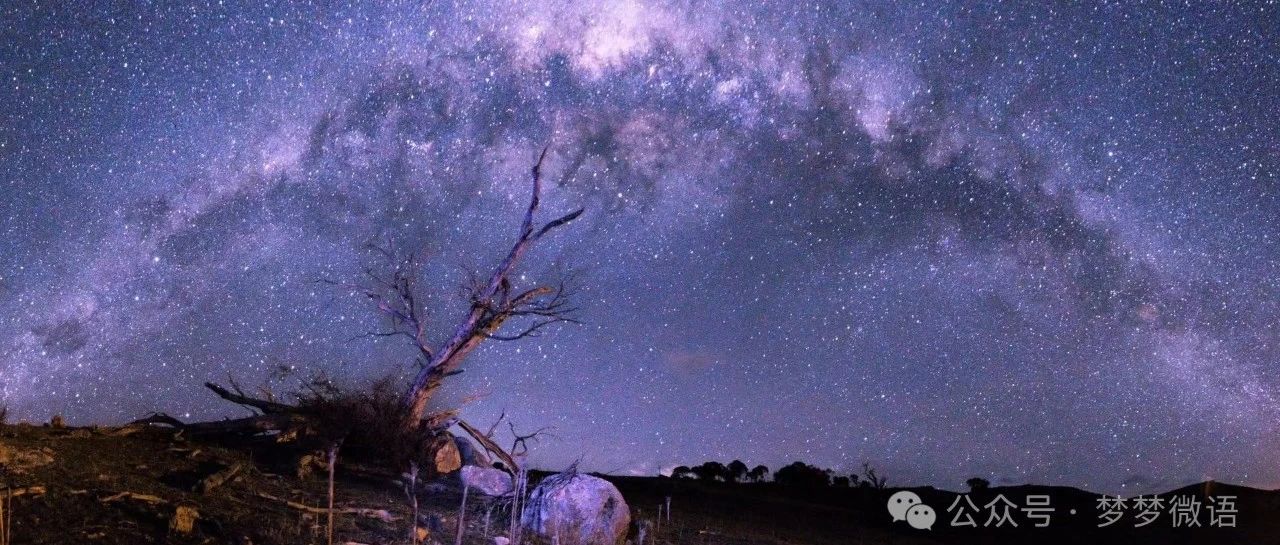 紫微斗数双星组合—天同天梁