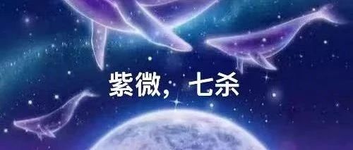 紫微斗数双星组合—紫微七杀