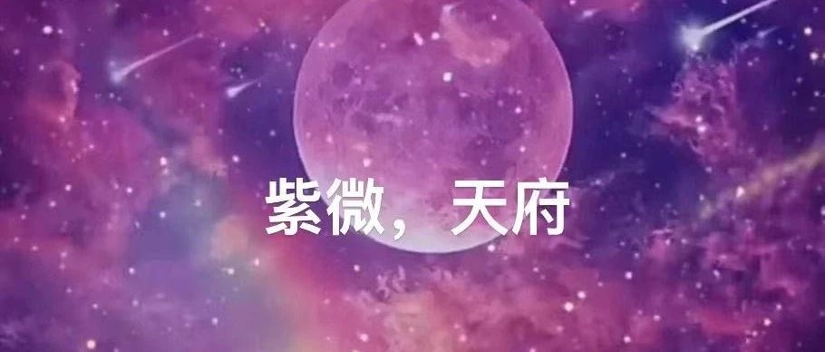 紫微斗数双星组合—紫微天府