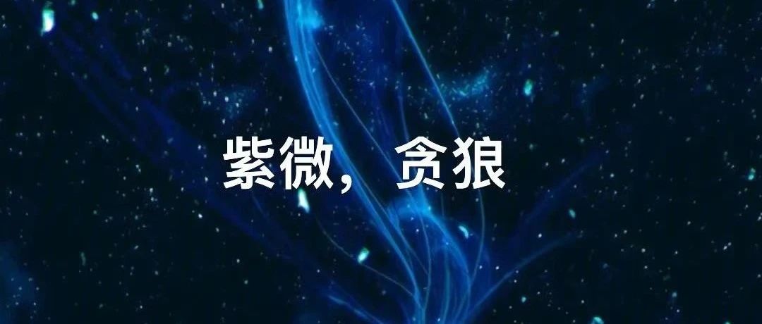 紫微斗数双星组合—紫微贪狼