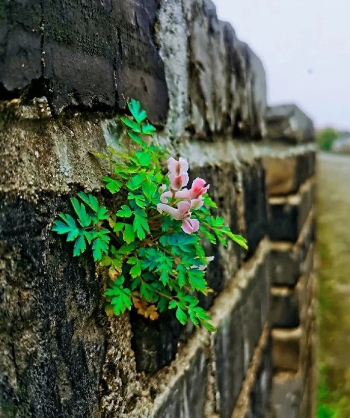 孟德斯鸠｜人性十恶