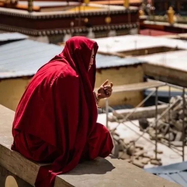 误入废弃地窖，发现里面密密麻麻的挂满了同一个人的照片...