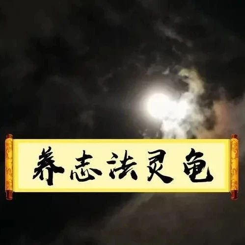 鬼谷子《本经阴符七术》之养志法灵龟：志意实坚之，神明常固守