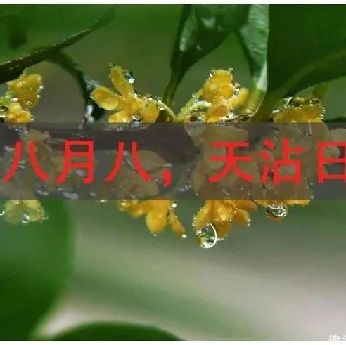 农历八月八“关雨门”，来年年景好不好，看八月八的天气就有数了