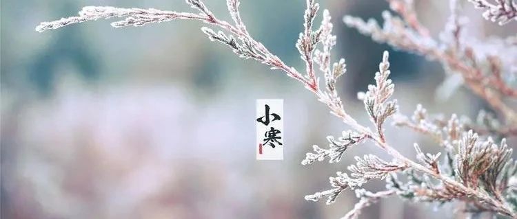 6首小寒古诗：雪花飘飘，腊梅暗香，欢鹊衔花迎春来