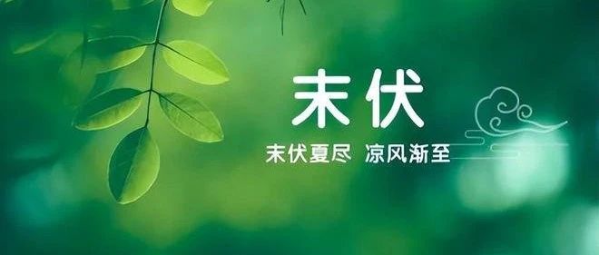 末伏，这样发诗词，高级不落俗套