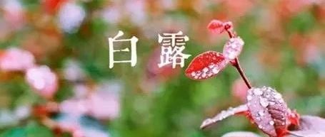 白露：诗词中的秋天，唯美浪漫与深邃哲思