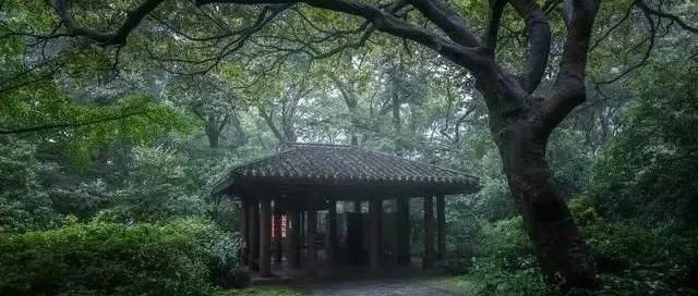 观山赏景，诗人在寺院中写下一首山水禅诗，颔联堪称千古名句