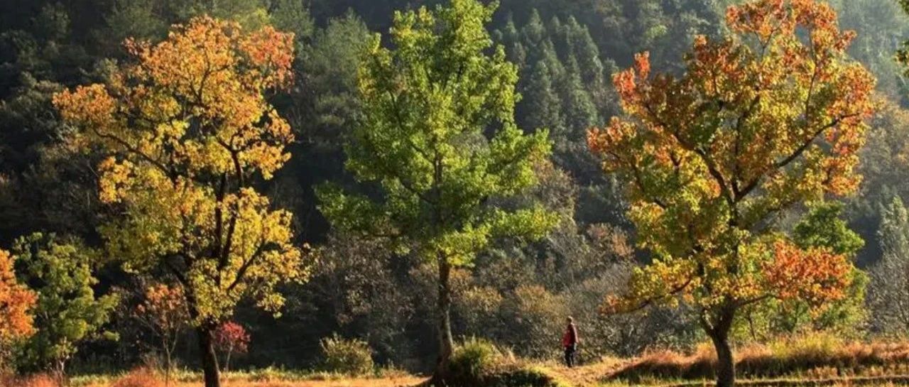 钟鼎山林都是梦，人间宠辱休惊。只消闲处过平生。