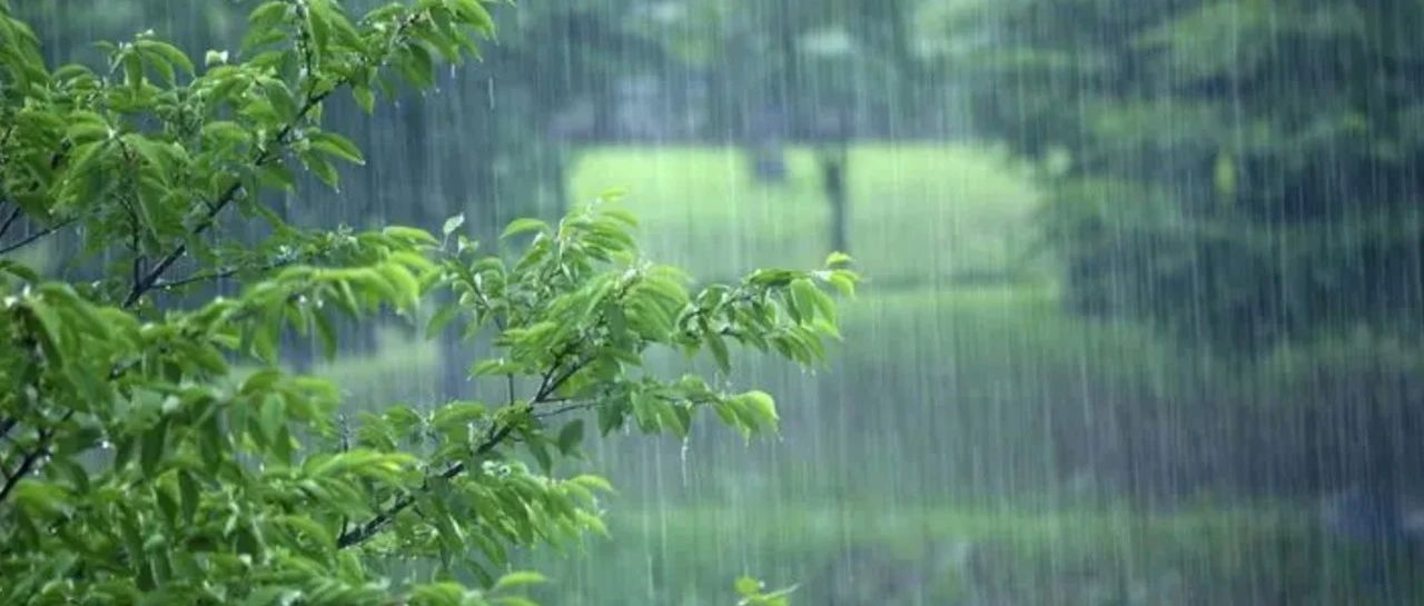 看山看水独坐，听风听雨高眠。