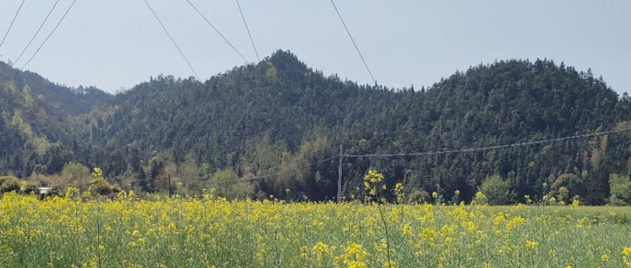 阴宅地理~祖坟所处地理环境对家族后人的最直接影响是什么？看了就明白！