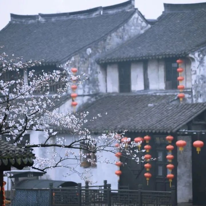 陆游一夜未眠，旅馆内写下一首千古名作，三四句最美，有雨有江南