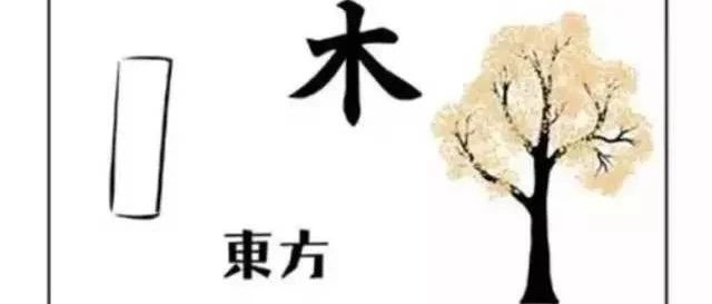 八字阴阳五行之“死木”与“活木”