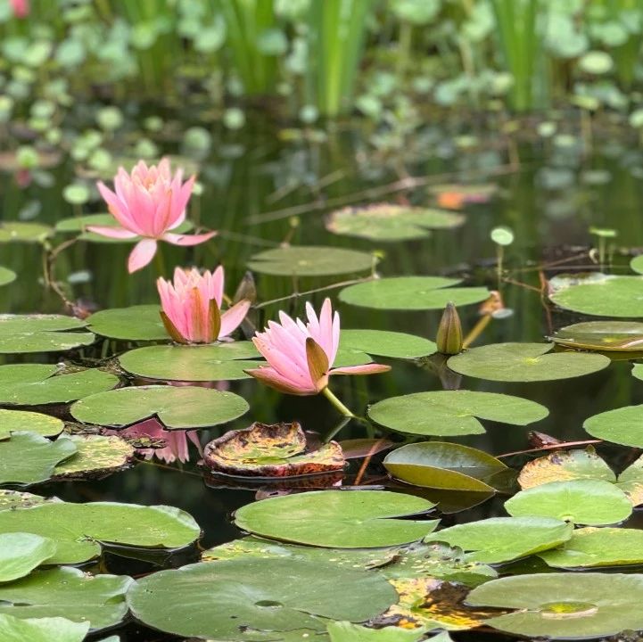 心学之思 | 王阳明：修行的终点，是遇见自己