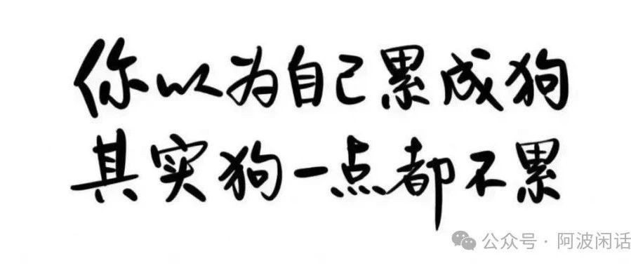 撞了100次南墙才明白的处世心计