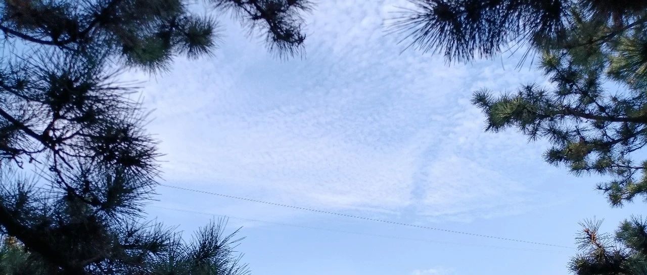 看透人生三句话，生活变得很融洽