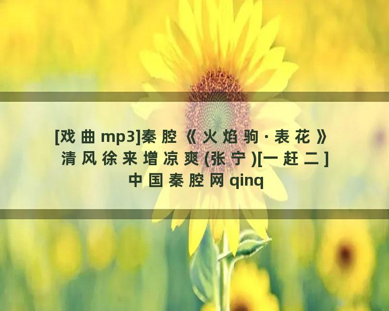 [戏曲mp3]秦腔《火焰驹·表花》清风徐来增凉爽(张宁)[一赶二]中国秦腔网qinqiang.com音频