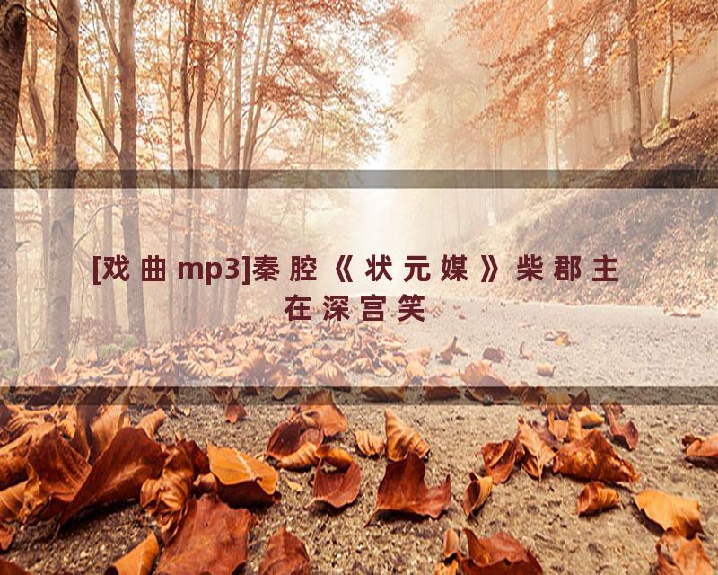 [戏曲mp3]秦腔《状元媒》柴郡主在深宫笑