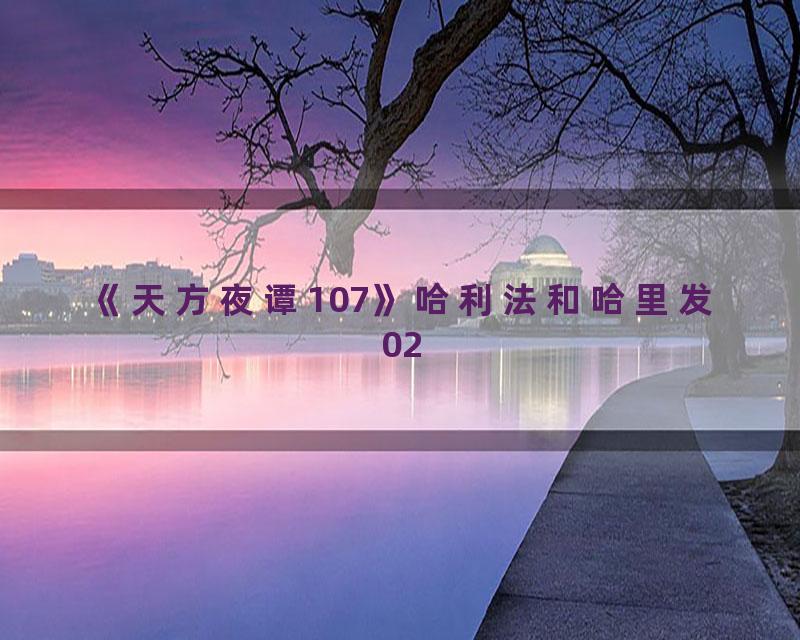 《天方夜谭107》哈利法和哈里发02