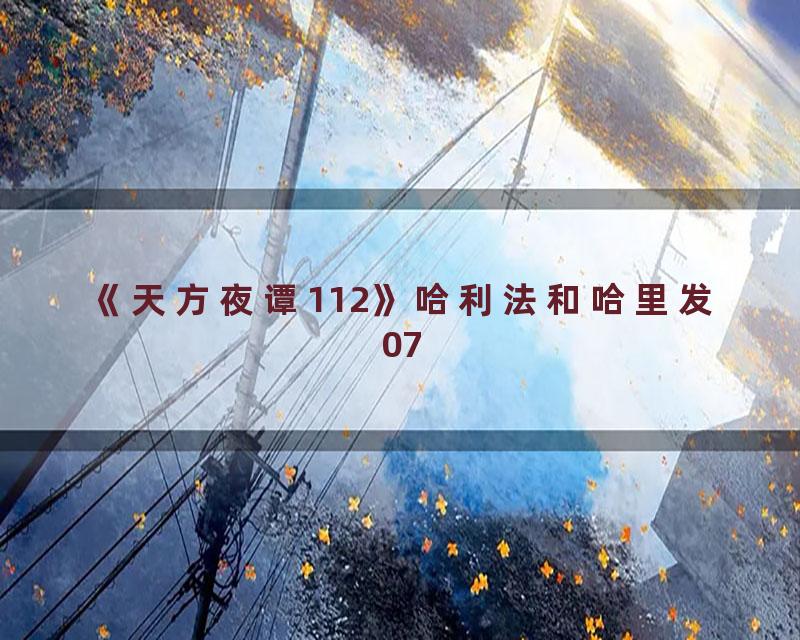 《天方夜谭112》哈利法和哈里发07