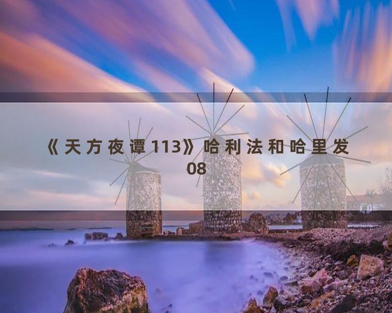 《天方夜谭113》哈利法和哈里发08