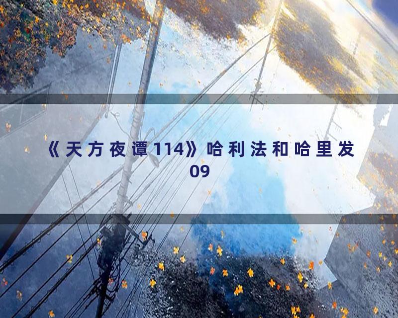 《天方夜谭114》哈利法和哈里发09