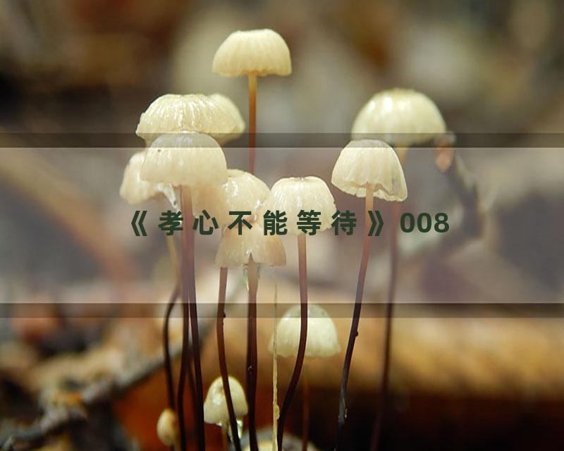 《孝心不能等待》008