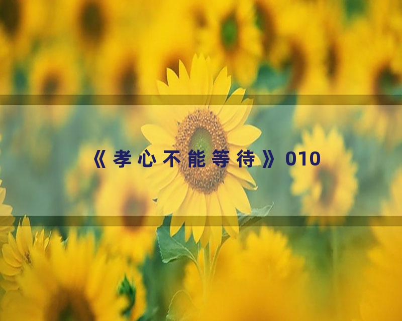 《孝心不能等待》010