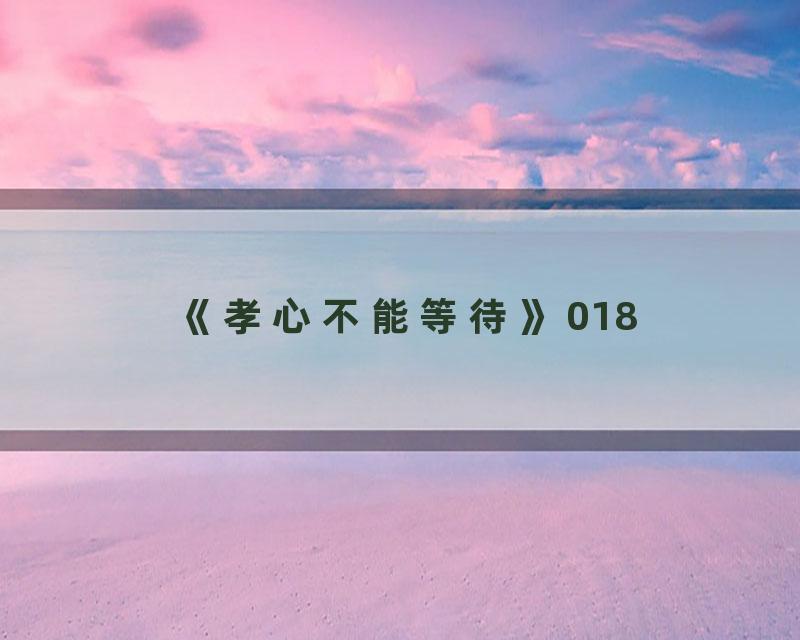 《孝心不能等待》018