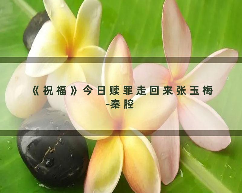 《祝福》今日赎罪走回来张玉梅-秦腔