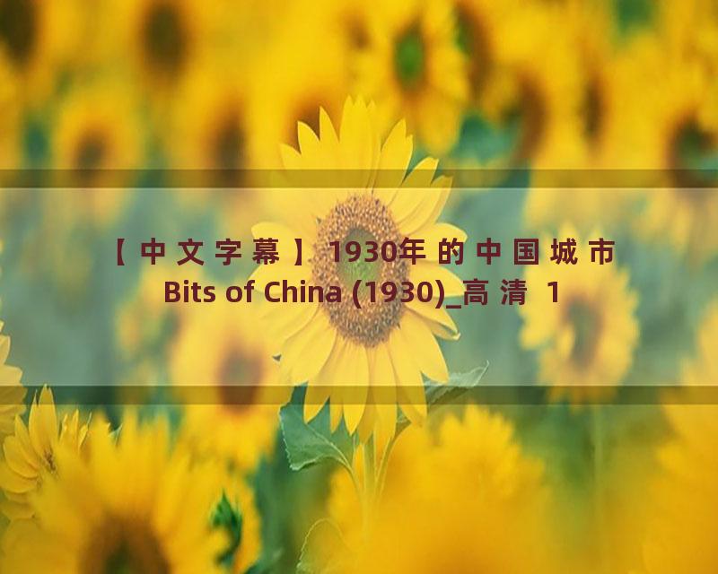 【中文字幕】1930年的中国城市 Bits of China (1930)_高清 1080P