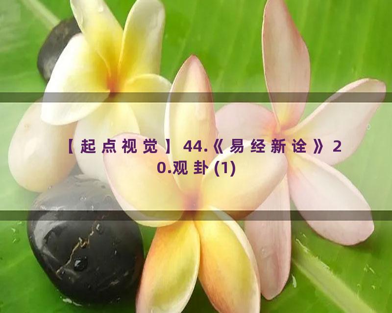 44.《易经新诠》20.观卦(1)