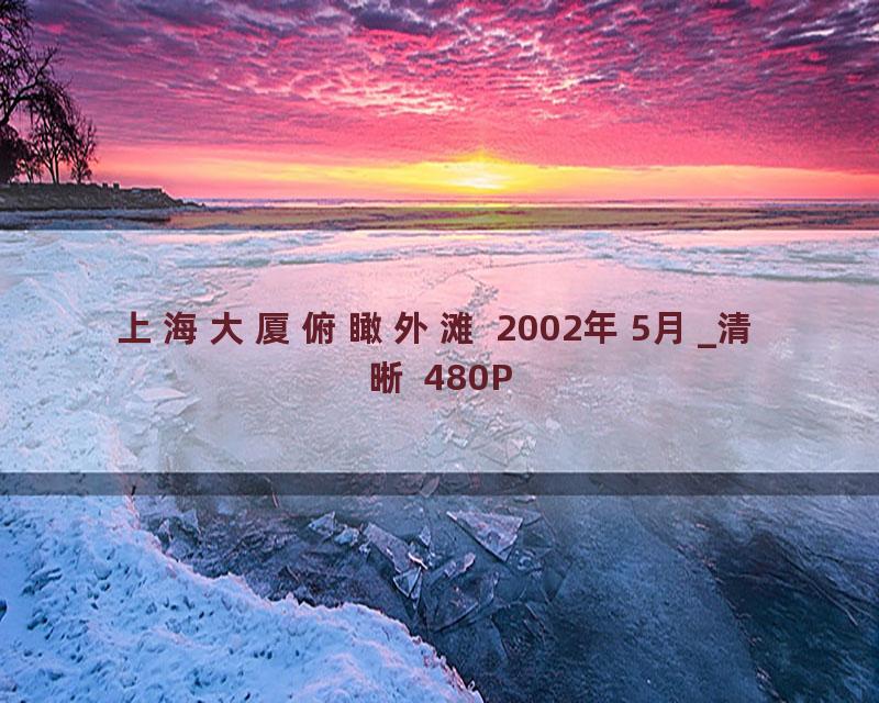 上海大厦俯瞰外滩 2002年5月_清晰 480P