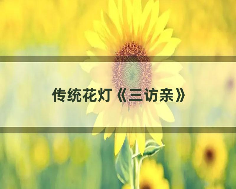 传统花灯《三访亲》