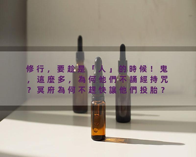 修行，要趁是「人」的時候！鬼，這麼多，為何他們不誦經持咒？冥府為何不趕快讓他們投胎？陰間最敬重？陰間的罪輕重，如何…