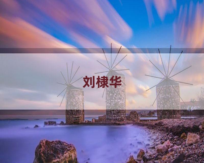 刘棣华