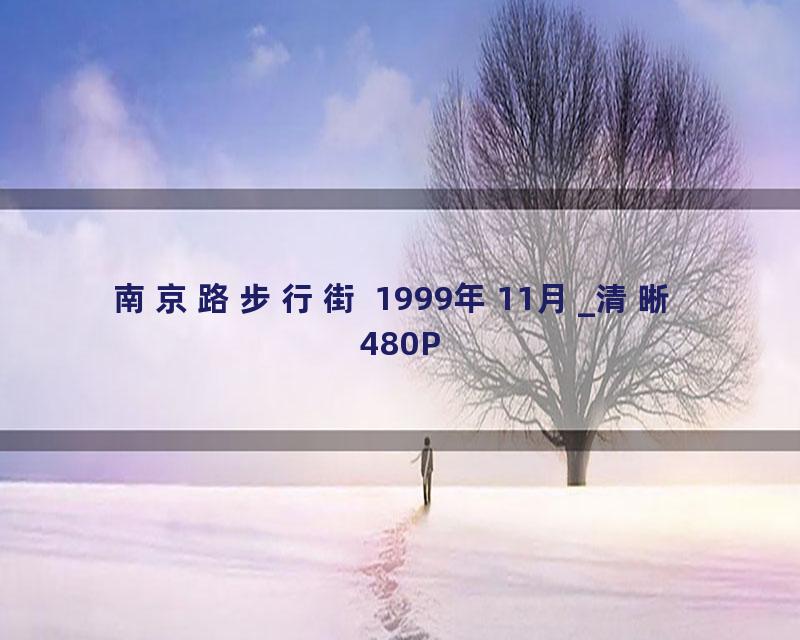 南京路步行街 1999年11月_清晰 480P