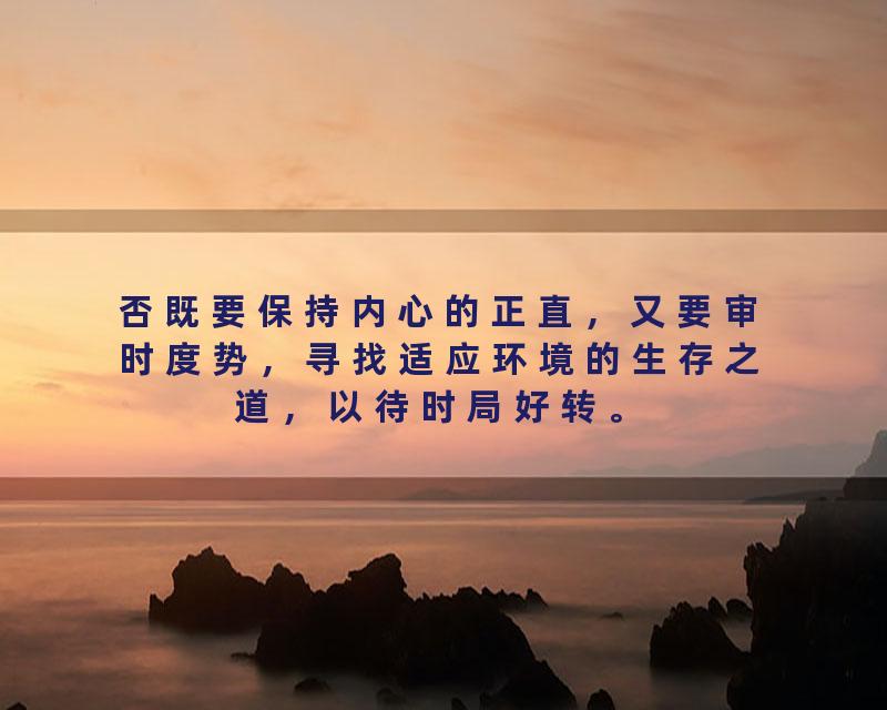 否既要保持内心的正直，又要审时度势，寻找适应环境的生存之道，以待时局好转。