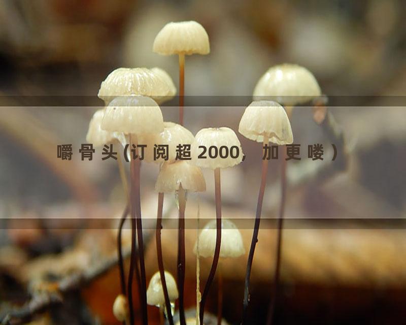 嚼骨头(订阅超2000，加更喽）